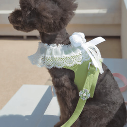 Lace Collar Harness + Leash (Flower Petal Pink) 1枚目の画像