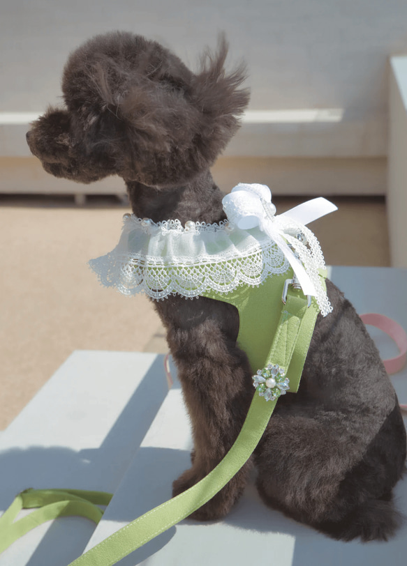 Lace Collar Harness + Leash (Flower Petal Pink) 1枚目の画像