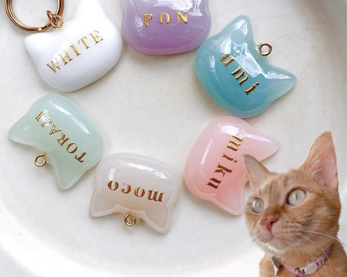 c5ce9ae931acddab9c70e2df6cdeef