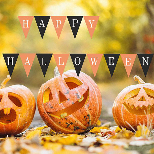 ○ハロウィン ガーランド 飾り 壁飾り パーティ　halloweenガーランド Amazon.co.jp: CINECE ハロウィン ガーランド ハロウィン飾り 9