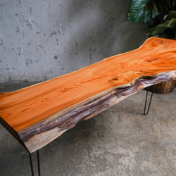 オレンジ色がキレイなY字形 一位の一枚板ローテーブル （高さ・カラー変更無料） 6枚目の画像