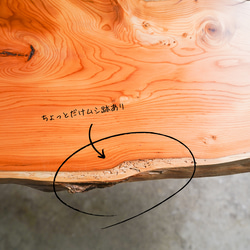 オレンジ色がキレイなY字形 一位の一枚板ローテーブル （高さ・カラー変更無料） 9枚目の画像
