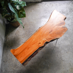 オレンジ色がキレイなY字形 一位の一枚板ローテーブル （高さ・カラー変更無料） 3枚目の画像