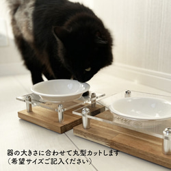 ねこ　倒れにくい 水飲み台 （名入れ可） オリジナル 犬 猫 うちの子 3枚目の画像