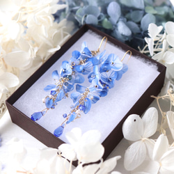 青い藤の花のピアス／イヤリング 6枚目の画像