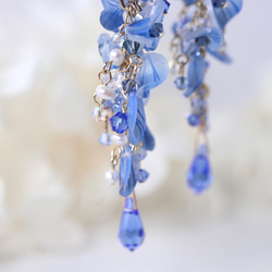 青い藤の花のピアス／イヤリング 11枚目の画像