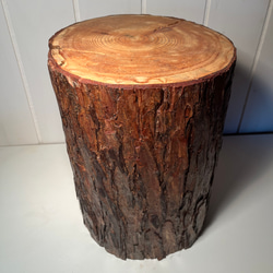 イチョウの切り株作業台 Lサイズ その他インテリア雑貨 B illage 通販