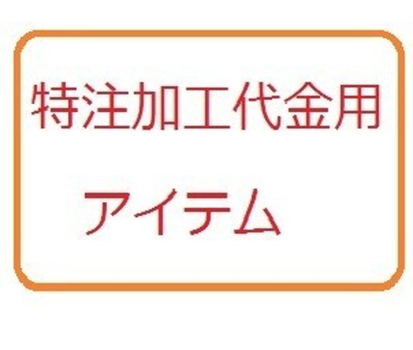 ※1320円　修理/加工代金専用アイテムです 1枚目の画像