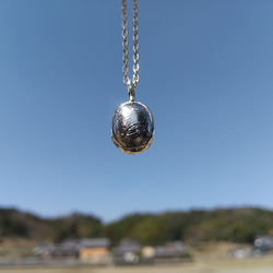 20%off【鉄隕石】ムオニナルスタ隕石×銀のネックレス/シルバーペンダント 4枚目の画像