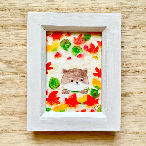 透明水彩画 ミニ額「豆柴くんのもみじ狩り」イラスト 柴犬 犬
