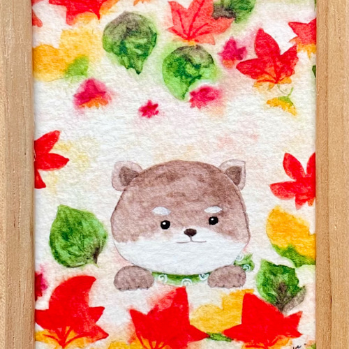透明水彩画 ミニ額「豆柴くんのもみじ狩り」イラスト 柴犬 犬