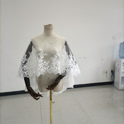 非常受歡迎的可愛優雅頂篷風格波列羅婚紗盛開透明花朵蕾絲 第1張的照片