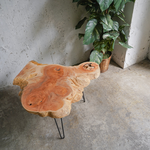 輪切り一枚板コーヒーテーブル ケヤキの輪切り一枚板 コーヒーテーブル （高さ・カラー変更無料