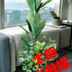 光触媒　人工観葉植物　ウォールグリーン　フェイクグリーン　ガジュマル150FST 光触媒 人工観葉植物 ウォールグリーン フェイクグリーン