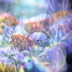「花と光」キャンバスプリント　Ａ５　コンパクト　アート　キャンバス　インテリア　癒し　自然　花　光　雑貨　フラワー　青 4枚目の画像