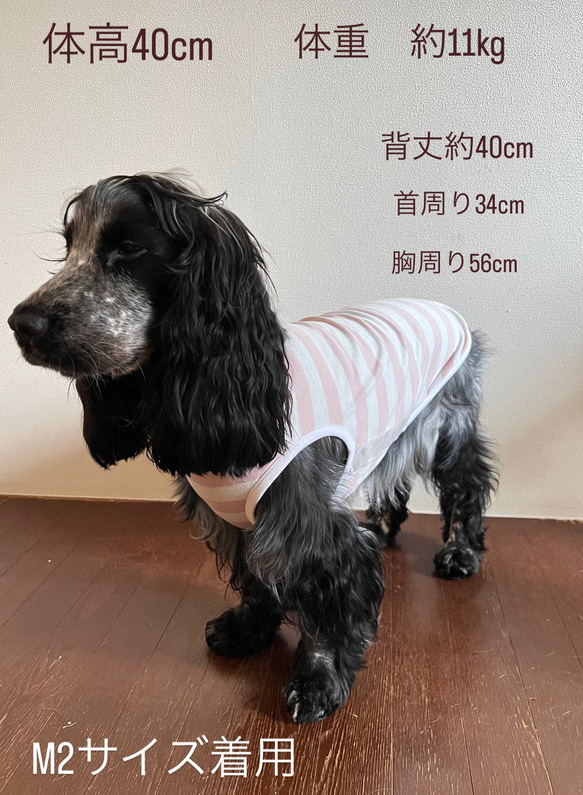 犬服　かわいいデス！　ボーダータンクトップ　6色 3枚目の画像