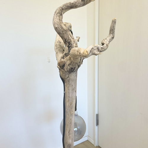 流木ライトスタンド NatureArt 流木のスタンドライト | RoomZ interior