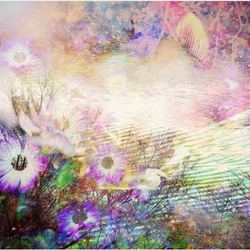 「花と光の楽園」Ａ５サイズ　キャンバスプリント　アート　インテリア　幻想的　神秘的　光　花　自然　キャンパス　コンパクト 1枚目の画像