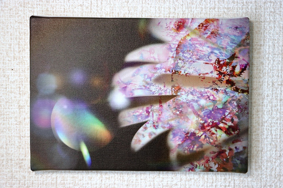 「光のさすほうへ」Ａ５サイズ　キャンパスプリント　アート　インテリア　自然　花　光　虹　神秘的　幻想的　コンパクト 3枚目の画像