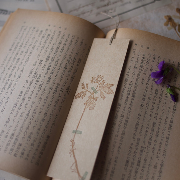 [壓花書籤3張裝] 紫羅蘭含羞草銀蓮花 / 34×130mm / 凸版印刷 第4張的照片