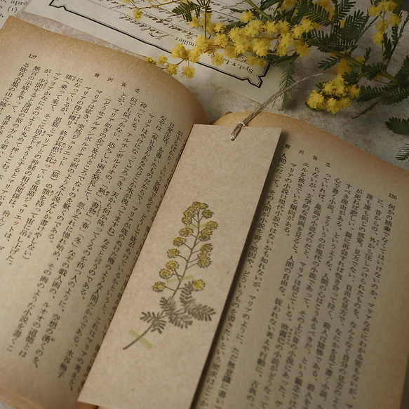 [壓花書籤3張裝] 紫羅蘭含羞草銀蓮花 / 34×130mm / 凸版印刷 第3張的照片