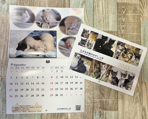 残数わずか】＊2023年度 保護猫チャリティーカレンダー 中とじ