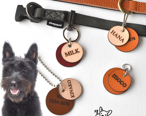 8904cc9925300a8e38d706400a21df