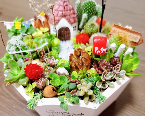 多肉植物箱庭 サボテン寄せ植え可愛いお家 その他インテリア雑貨
