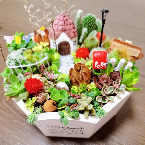 多肉植物箱庭 サボテン寄せ植え可愛いお家 その他インテリア雑貨