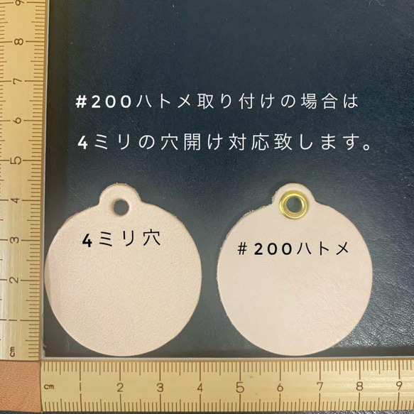  第4張的照片