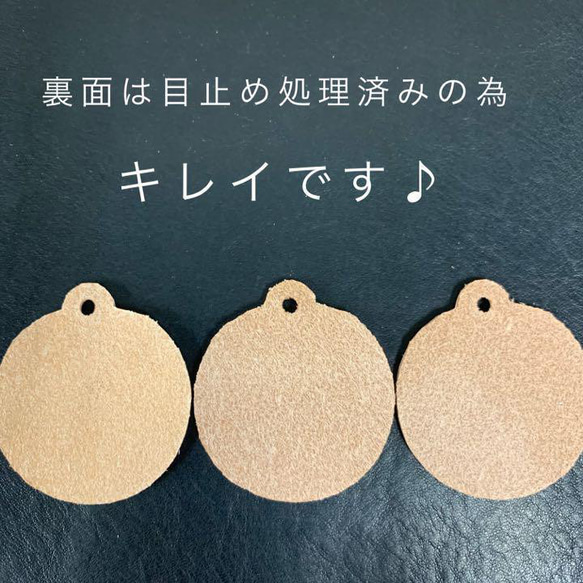  第3張的照片