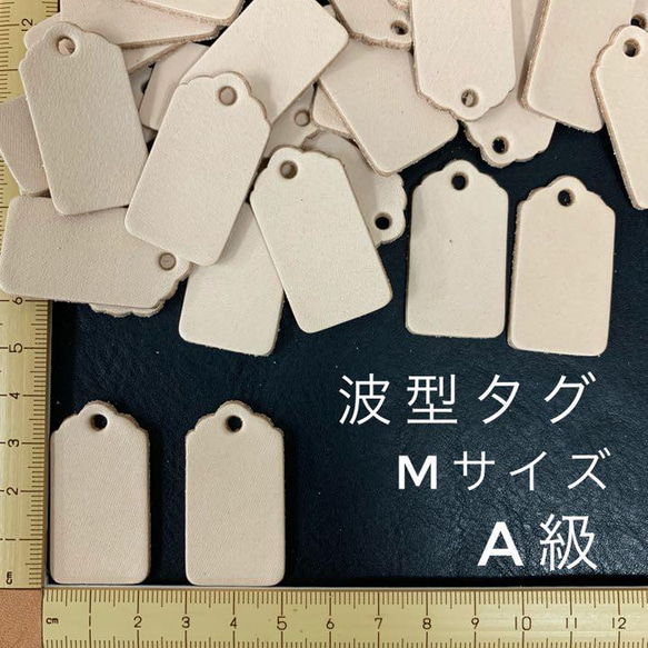  第1張的照片
