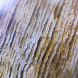 希少　1点物！千層　ガーデンクォーツ　長方形プレート　スライス　ブラウン　58ｍｍ　天然石インテリア　原石 3枚目の画像