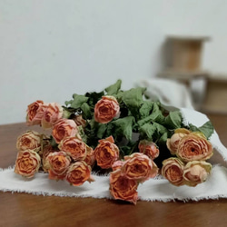 ドライフラワー スタンダードバラ ダークレッド サムライ7本set その他