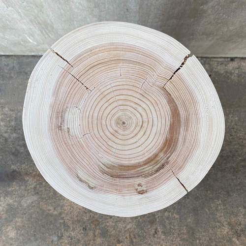 ひのき切り株アルコールスタンド】丸太 オブジェ フラワーディスプレイ