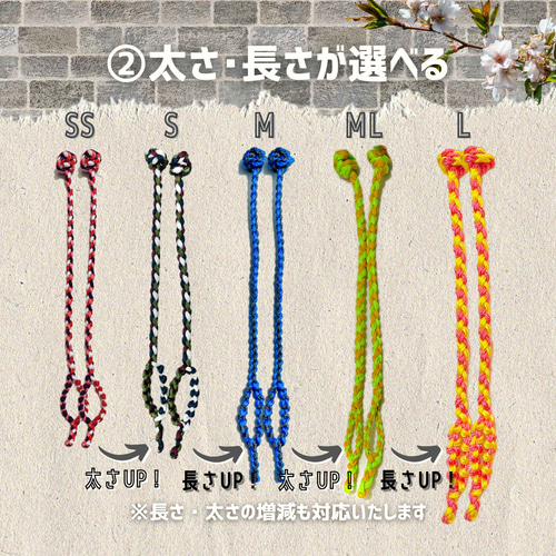オーダーSS】フクロウ・タカ・鳥・猛禽類☆編み込みロープジェス