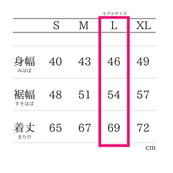 PSNY 胸部口音透明上衣★深藍色襯衫 2way 協調 TP10 第7張的照片