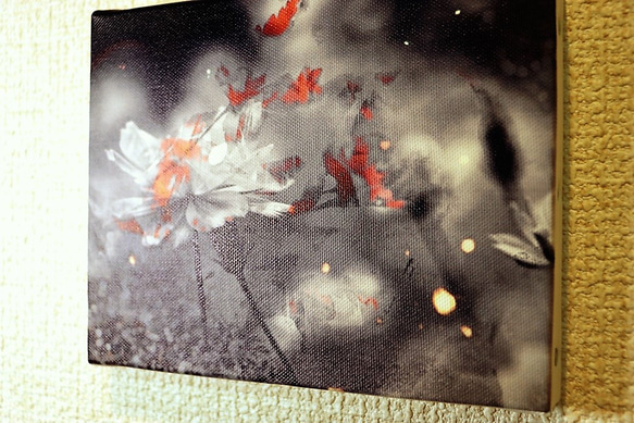 「変身」ＦＯサイズ　コンパクト　アート　キャンパスプリント　写真　花　フラワー　自然　モノクロ　クール　インテリア　植物 4枚目の画像