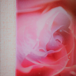 「薔薇の誘惑」アート　ＦＯサイズ　コンパクト　写真　インテリア　薔薇　バラ　ピンク　赤　フェミニン　かわいい　綺麗　美 5枚目の画像