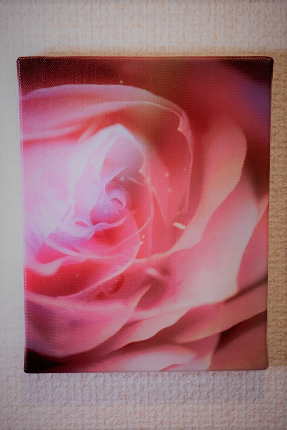 「薔薇の誘惑」アート　ＦＯサイズ　コンパクト　写真　インテリア　薔薇　バラ　ピンク　赤　フェミニン　かわいい　綺麗　美 3枚目の画像