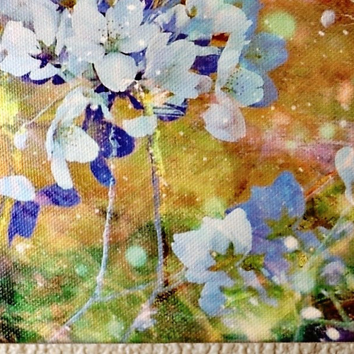 春爛漫」FOサイズ アート 桜 花 フラワー 華やか インテリア