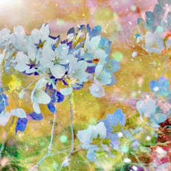 「春爛漫」ＦＯサイズ　アート　桜　花　フラワー　華やか　インテリア　植物　ギフト　キャンパスプリント　写真　花びら　春 1枚目の画像