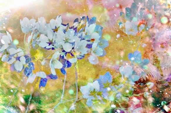 1249 春爛漫イースター 桜とお花畑 フラワーインテリアシーグラスアート 飾り 春爛漫」FOサイズ アート 桜 花 フラワー 華やか インテリア