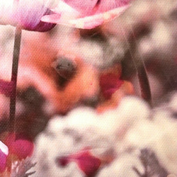 「ずっと一緒」ＦＯサイズ　キャンパスプリント　アート　写真　花　フラワー　自然　愛　アネモネ　春　美　恋　インテリア 7枚目の画像