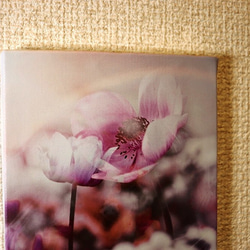 「ずっと一緒」ＦＯサイズ　キャンパスプリント　アート　写真　花　フラワー　自然　愛　アネモネ　春　美　恋　インテリア 10枚目の画像