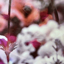「ずっと一緒」ＦＯサイズ　キャンパスプリント　アート　写真　花　フラワー　自然　愛　アネモネ　春　美　恋　インテリア 5枚目の画像