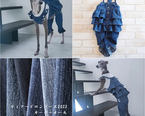 ストレッチデニムパンツロンパース　Mサイズ　イタグレ服 Amazon | D DOGGY STAR イタグレ服 デニム ロンパース つなぎ