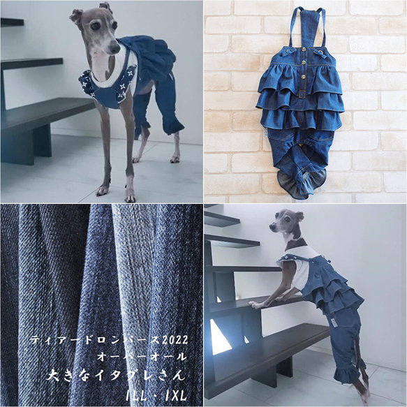 ストレッチデニムパンツロンパース　Mサイズ　イタグレ服 Amazon | D DOGGY STAR イタグレ服 デニム ロンパース つなぎ