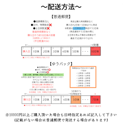  第7張的照片