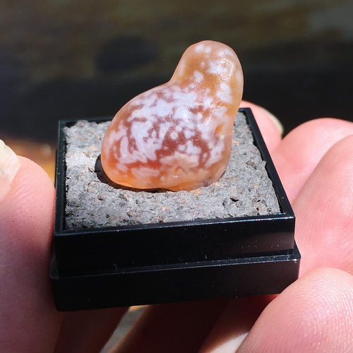 天然石 ゴビ石 花柄 水怪 鉱物 原石 その他置物 Bear Wan 通販